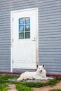 Lonely dog waiting owner near the door. Royalty Free Stock Photo