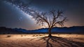 A lonely, dry tree in the desert against the background of the night sky and mountains