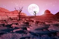 Lonely dry trees in the desert against a beautiful pink sky and a full moon. Moonlight in the desert. Artistic natural image.