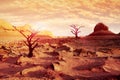 Lonely dry trees in the desert against a beautiful red, pink and yellow sky and clouds. Artistic natural image Royalty Free Stock Photo