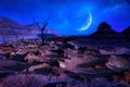 Lonely dty tree in the desert. Lunar landscape in the Dasht-e Lut desert. The hottest place on Earth. Iran. Persia. Change climate Royalty Free Stock Photo