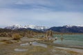 Lonely duck wandering around the basin of beautiful Mono Lake in the wilderness Royalty Free Stock Photo