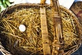 Lonely egg in a basket of a farm