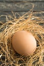 Lonely egg in the nest Royalty Free Stock Photo