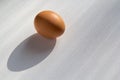 Lonely egg with shadow on a white canvas, background