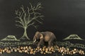 Lonely elephant in the deforest by human