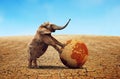 Lonely elephant with dry planet earth in parched country with cracked soil.