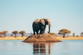 Lonely elephant in a surreal landscape symbolizes the concept of solitude and isolation