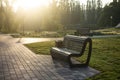 Lonely empty Bench in the city park Royalty Free Stock Photo