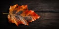 Lonely fallen red autumn leaf lying on wooden surface