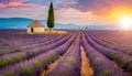 Lonely Farmhouse and Cypress in a Field of Blooming Purple Lavender - Generative Ai Royalty Free Stock Photo