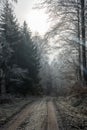 Lonely field path in the forest with hoarfrost on the trees on a cold winter day Royalty Free Stock Photo