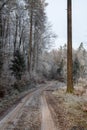 Lonely field path in the forest with hoarfrost on the trees on a cold winter day Royalty Free Stock Photo