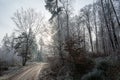 Lonely field path in the forest with hoarfrost on the trees on a cold winter day Royalty Free Stock Photo