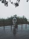 Lonely figure of man standing under rain Royalty Free Stock Photo
