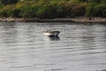 Lonely fishing boat docked in calm lake. wooden fishing boat in a still lake water. Royalty Free Stock Photo