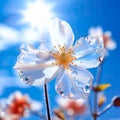 Lonely flower on the background of the blue sky Royalty Free Stock Photo