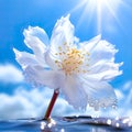 Lonely flower on the background of the blue sky Royalty Free Stock Photo
