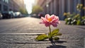 beautiful lonely flower grows from asphalt concept renewal energy