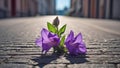 beautiful lonely flower grows asphalt concept renewal energy symbol