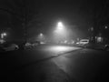 Lonely Foggy Street at Night Royalty Free Stock Photo