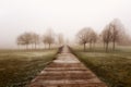 Lonely footbridge in a foogy day