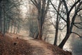 Lonely footpath running under leafless trees