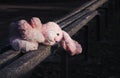 Lonely forgotten abandoned teddy toy bunny rabbit lying on an old wooden bench and waiting for owner. Concept: depression