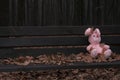 Lonely forgotten abandoned teddy toy bunny/rabbit sat on an wooden bench covered with autumn leaves.