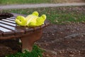 Lonely forgotten soft frog toy lying on the bench in park waiting for owner.