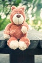 Lonely forgotten teddy bear toy. Sadness.