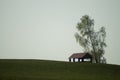 Lonely gazebo on the hill. summerhouse under tree standing alone in the field. solitude concept Royalty Free Stock Photo