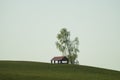 Lonely gazebo on the hill. summerhouse under tree standing alone in the field. solitude concept Royalty Free Stock Photo