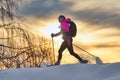 Lonely girl hike with snowshoes at sunset Royalty Free Stock Photo