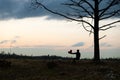 Solitude. Lonely Girl In a lonely tree against the sky. On the background of the sunrise. Red heart in hand