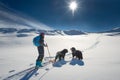 Lonely girl in the mountains with ski touring and two dogs