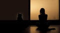 lonely girl silhouette sitting opposite the wall together with cat, loneliness concept, love pet, sublimation Royalty Free Stock Photo