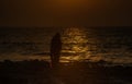 Lonely girl silhouette standing at tranquil sunset beach Royalty Free Stock Photo