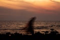 Lonely girl silhouette walking at beach in sunset time. Royalty Free Stock Photo