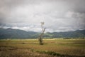 Lonely green oak tree in the field View Sky Beatiful Forest Mountain Royalty Free Stock Photo