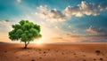 lonely green tree, in an arid field, azure blue sky, with clouds at sunset Royalty Free Stock Photo