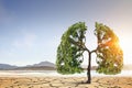 Lonely green tree in the desert. Mixed media