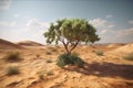 a lonely green tree grows in the middle of a hot desert Royalty Free Stock Photo