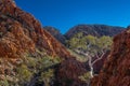 Lonely Gum tree Standley Chasm, Larapinta trail Royalty Free Stock Photo