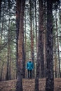 A lonely guy in a pine forest in the autumn time Royalty Free Stock Photo