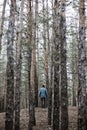 A lonely guy in a pine forest in the autumn time Royalty Free Stock Photo