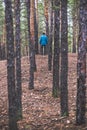 A lonely guy in a pine forest in the autumn time Royalty Free Stock Photo