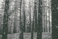 A lonely guy in a pine forest in the autumn time. Monochrome Royalty Free Stock Photo