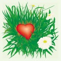 Lonely heart in grass Royalty Free Stock Photo