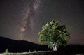 Lonely high tree under starry night sky and Milky way Royalty Free Stock Photo